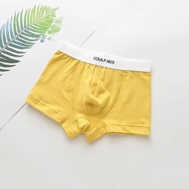 Boys Underwear Children Panties Boys Cotton Boxer Shorts Children's Panties Kids Underwear For 2-16 years 5 pcs