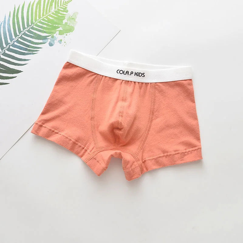 Boys Underwear Children Panties Boys Cotton Boxer Shorts Children's Clothing Kids Underwear For 2-16T 5Pcs Teen Panties For Kids