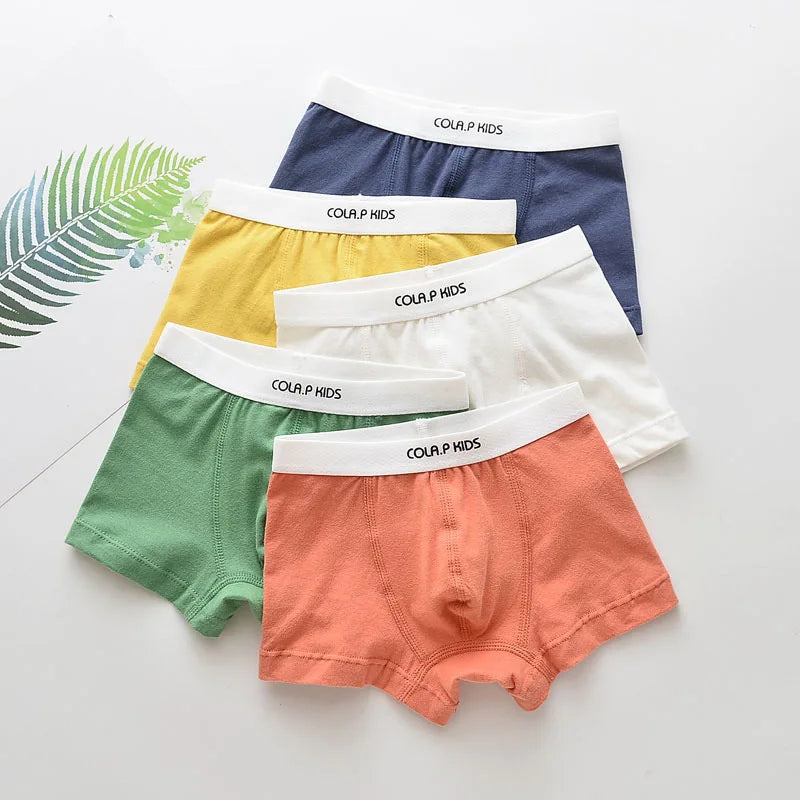 Boys Underwear Children Panties Boys Cotton Boxer Shorts Children's Panties Kids Underwear For 2-16 years 5 pcs