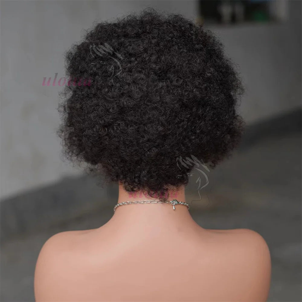 Braided Wigs Human Hair Lace Front Wig Braiding Hair Wigs With Bangs For Black Women Wig Afro Kinky Curly Hair Wigs On Sale